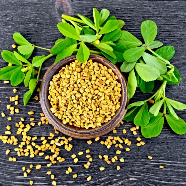 fenugreek