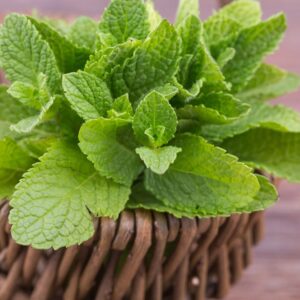 peppermint leaves