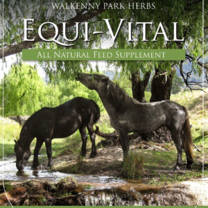 equi vital brochure cover