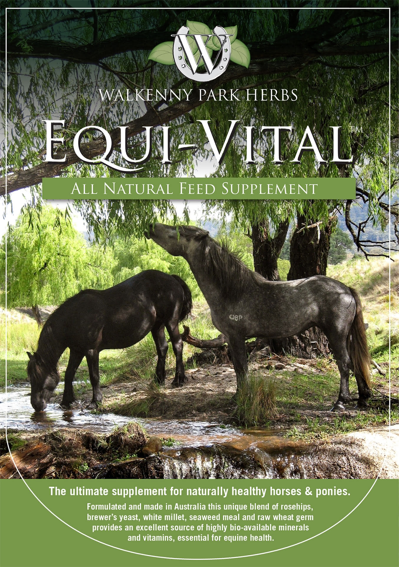 equi vital brochure cover