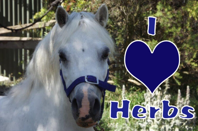 tp rosebud i love herbs 1 w text