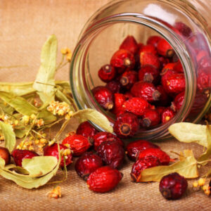 organic rosehips 600x600