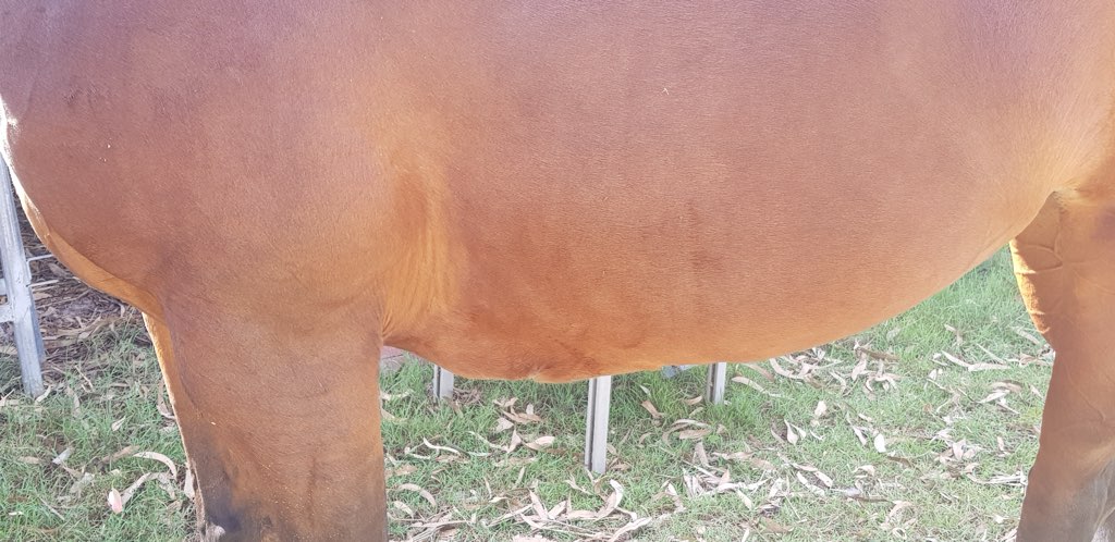 lunar's swamp cancer healed